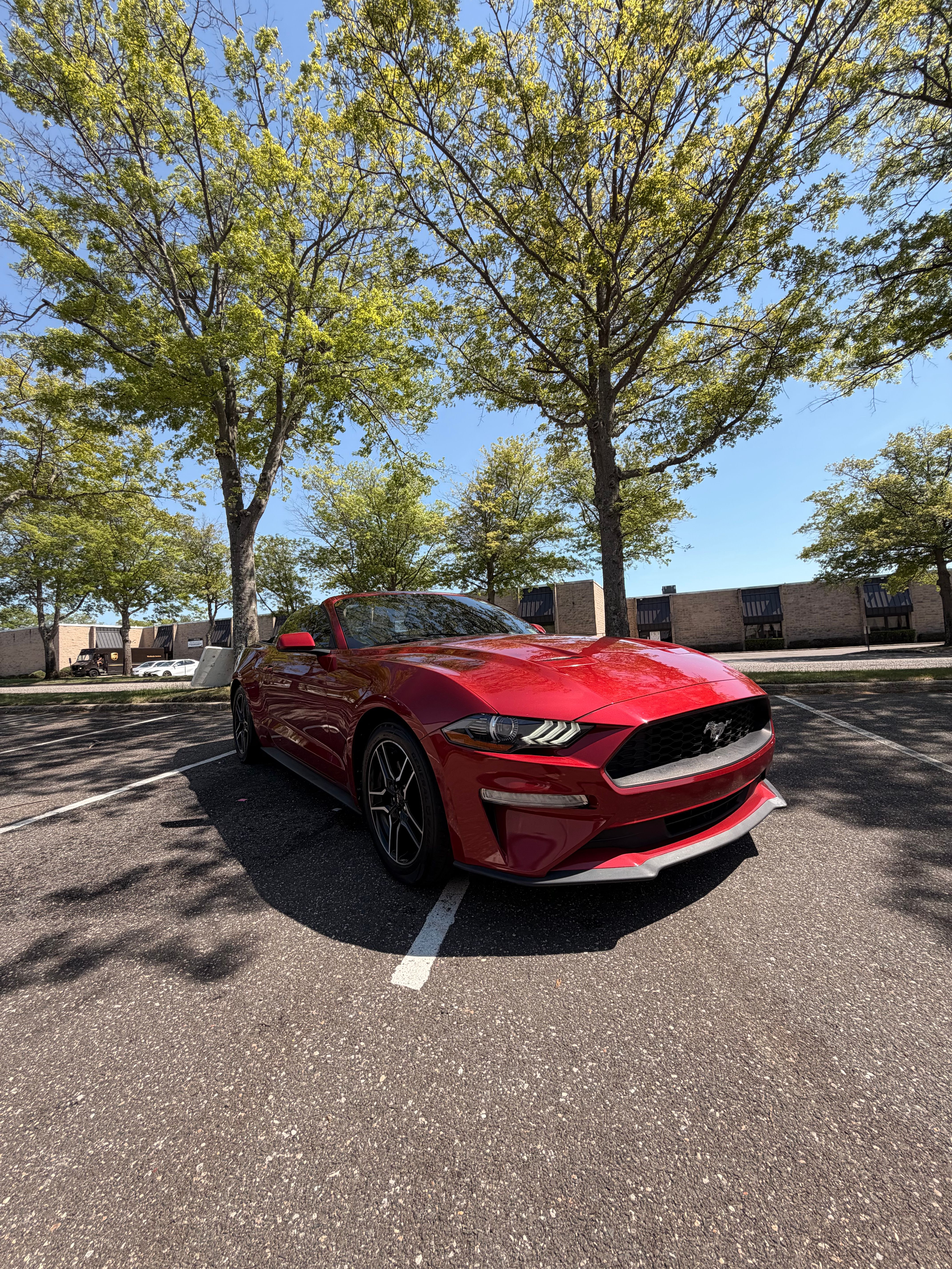 Used 2021 Ford Mustang Convertible w/ Equipment Group 101A RWD image 9