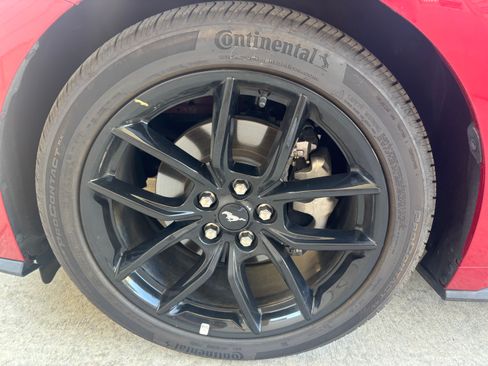 Used 2024 Ford Mustang Coupe w/ Mustang Nite Pony Package RWD image 13