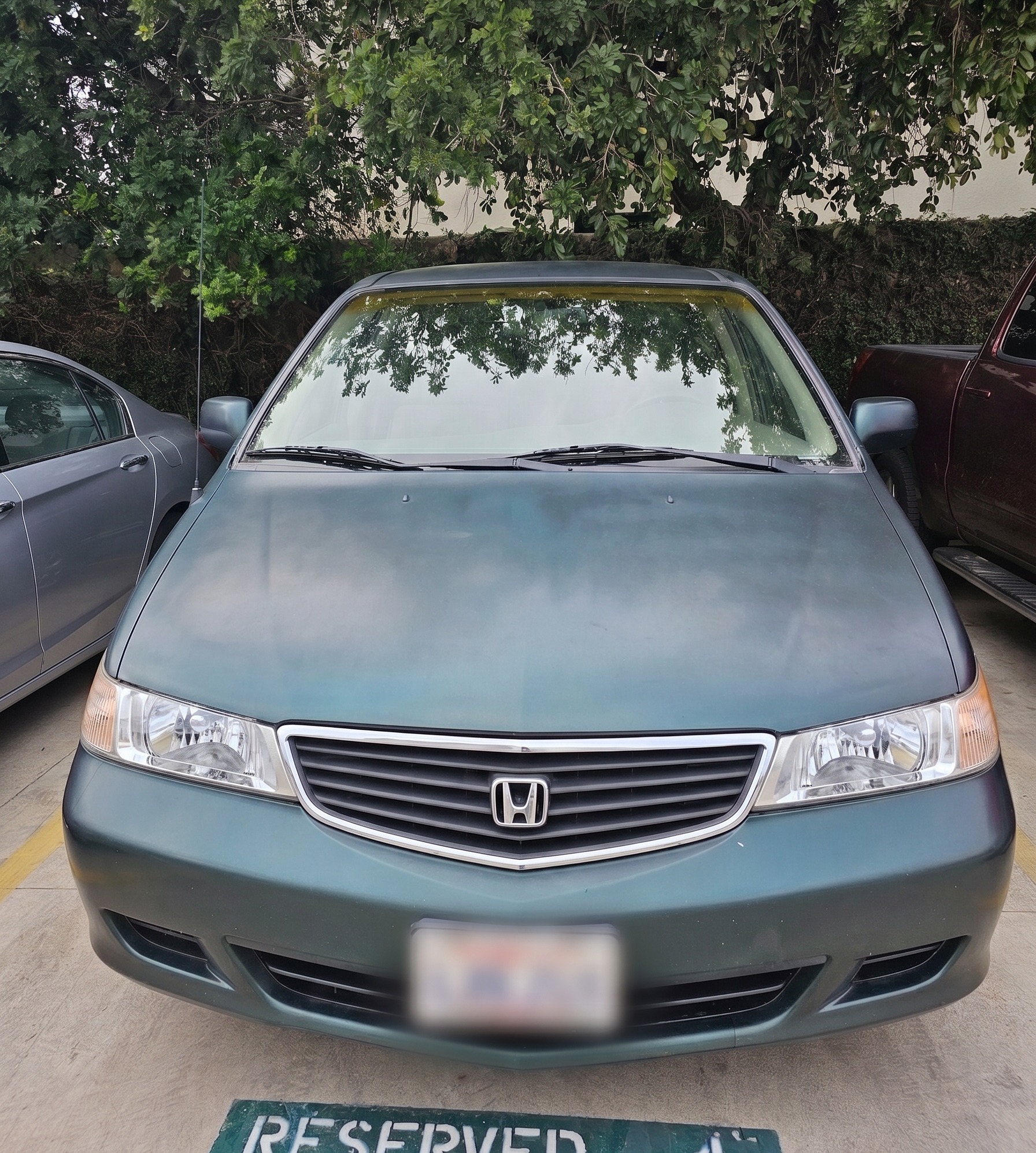 Used 2000 Honda Odyssey EX image 5