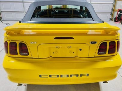 Used 1998 Ford Mustang Cobra