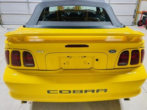 Used 1998 Ford Mustang Cobra image 1
