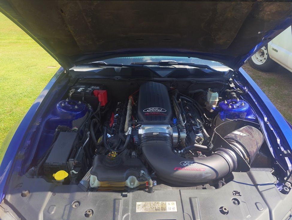 Used 2014 Ford Mustang GT Premium w/ Equipment Group 402A RWD image 8