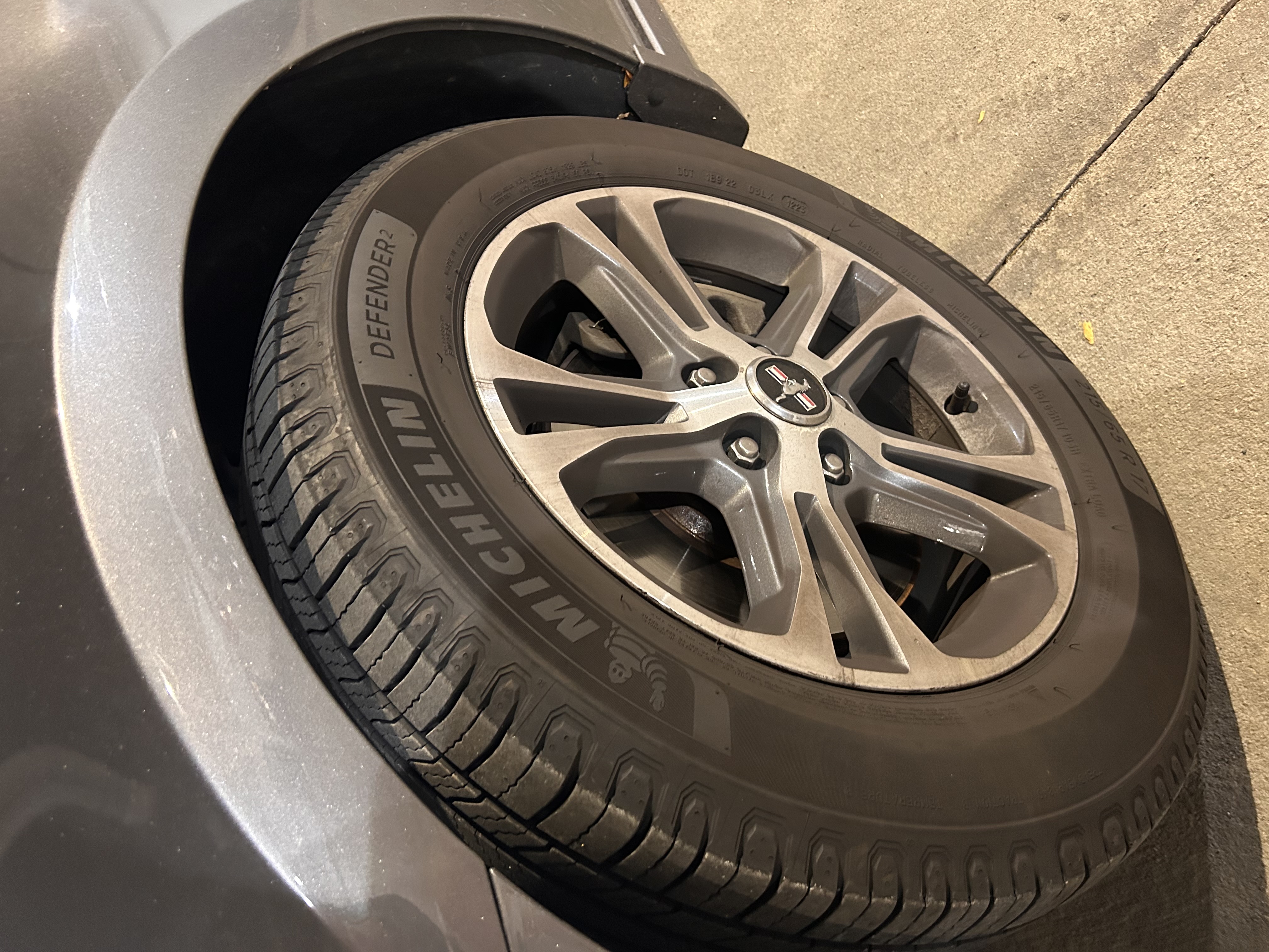 Used 2014 Ford Mustang Premium w/ Comfort Package RWD image 8