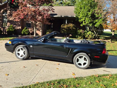 Used 1999 Ford Mustang GT image 10