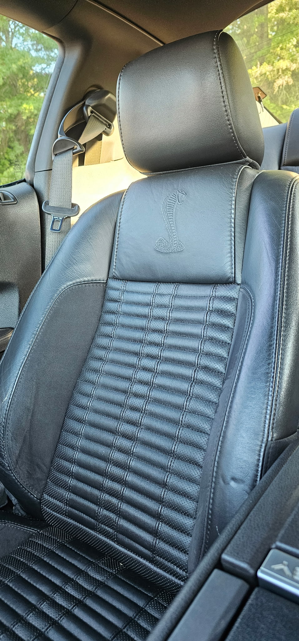 Used 2010 Ford Mustang Shelby GT500 RWD image 13