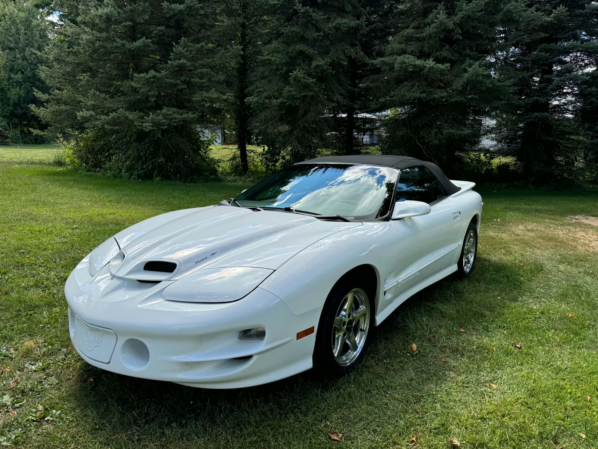 Used 2000 Pontiac Firebird Trans Am RWD image 4