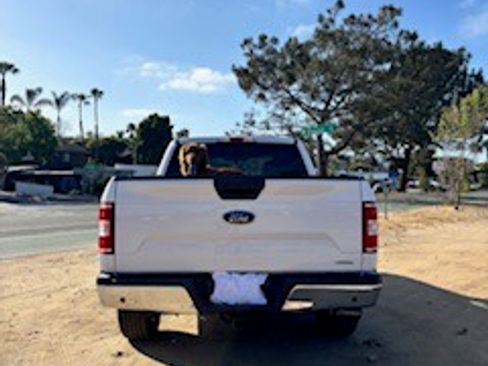 Used 2020 Ford F150 XLT RWD image 5