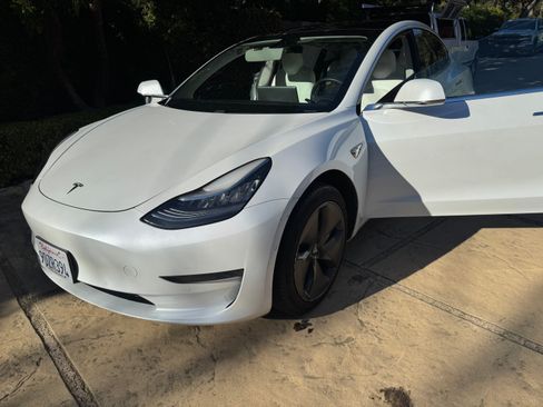 Used 2019 Tesla Model 3 Standard Range Plus image 29