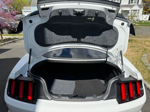 Used 2019 Ford Mustang Shelby GT350 w/ Technology Package image 18