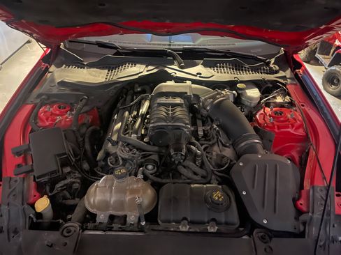 Used 2015 Ford Mustang GT Premium w/ Equipment Group 401A image 11