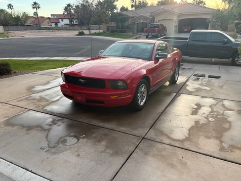Used 2009 Ford Mustang Coupe image 5