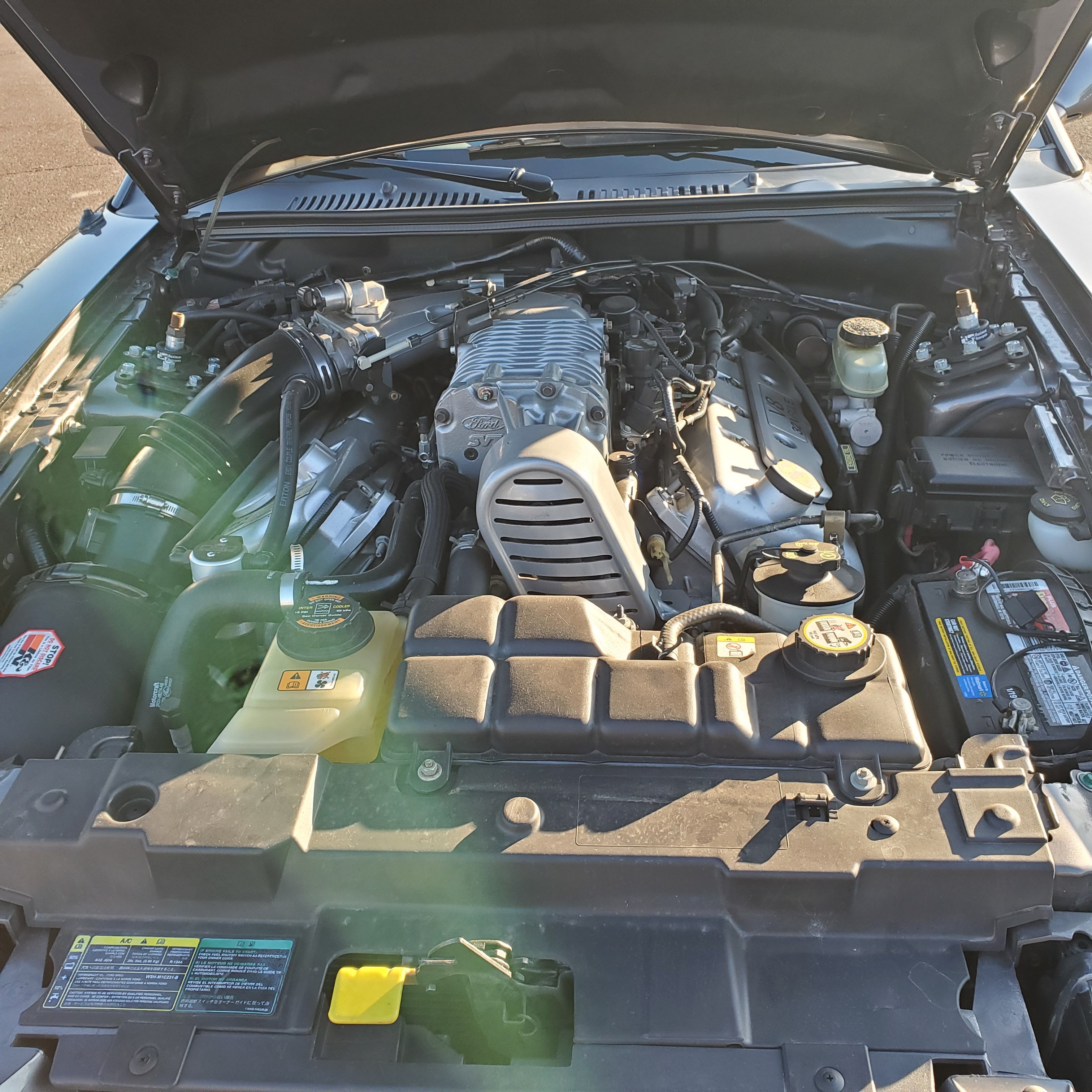 Used 2003 Ford Mustang Cobra RWD image 7