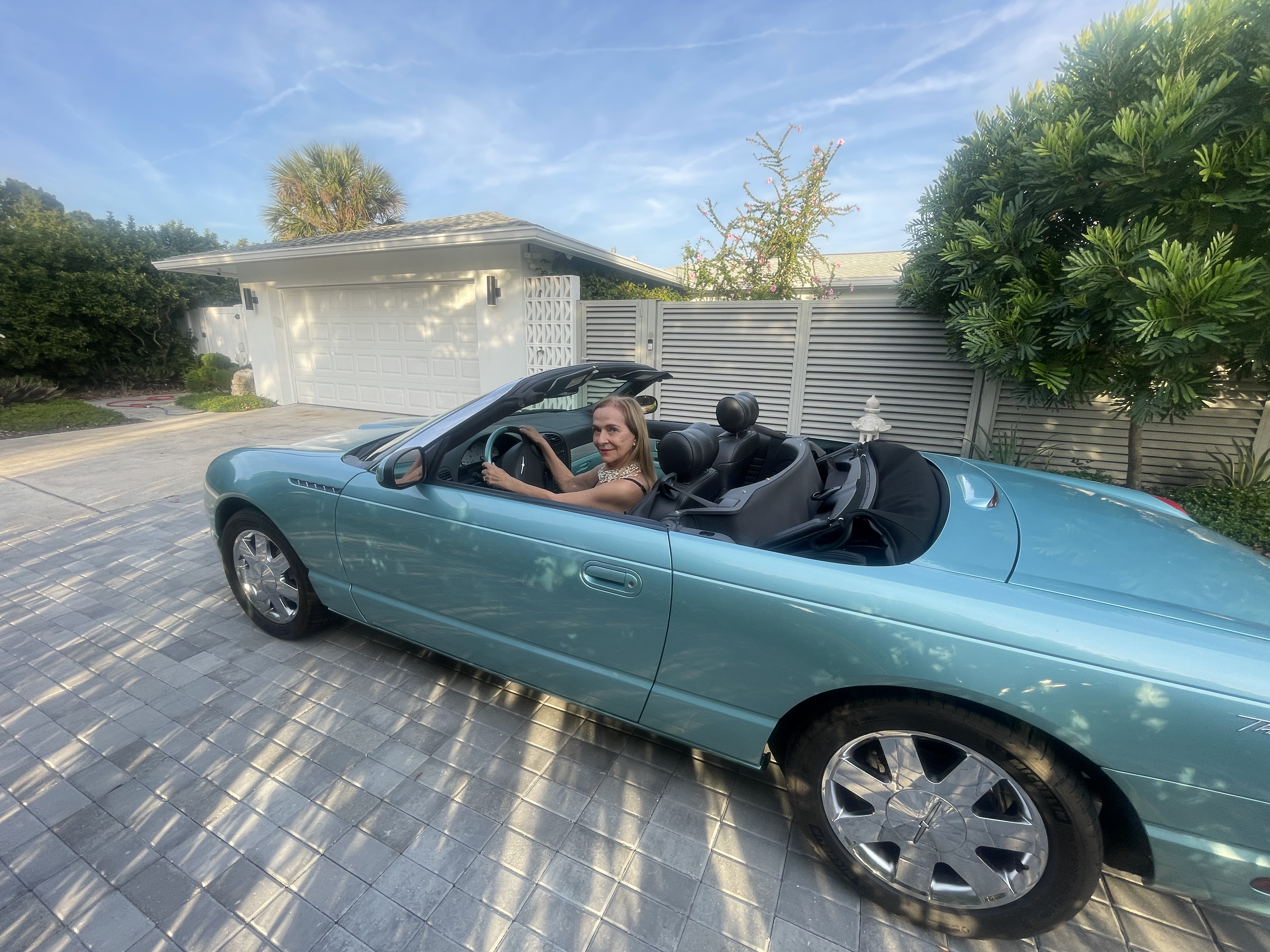 Used 2002 Ford Thunderbird RWD image 2