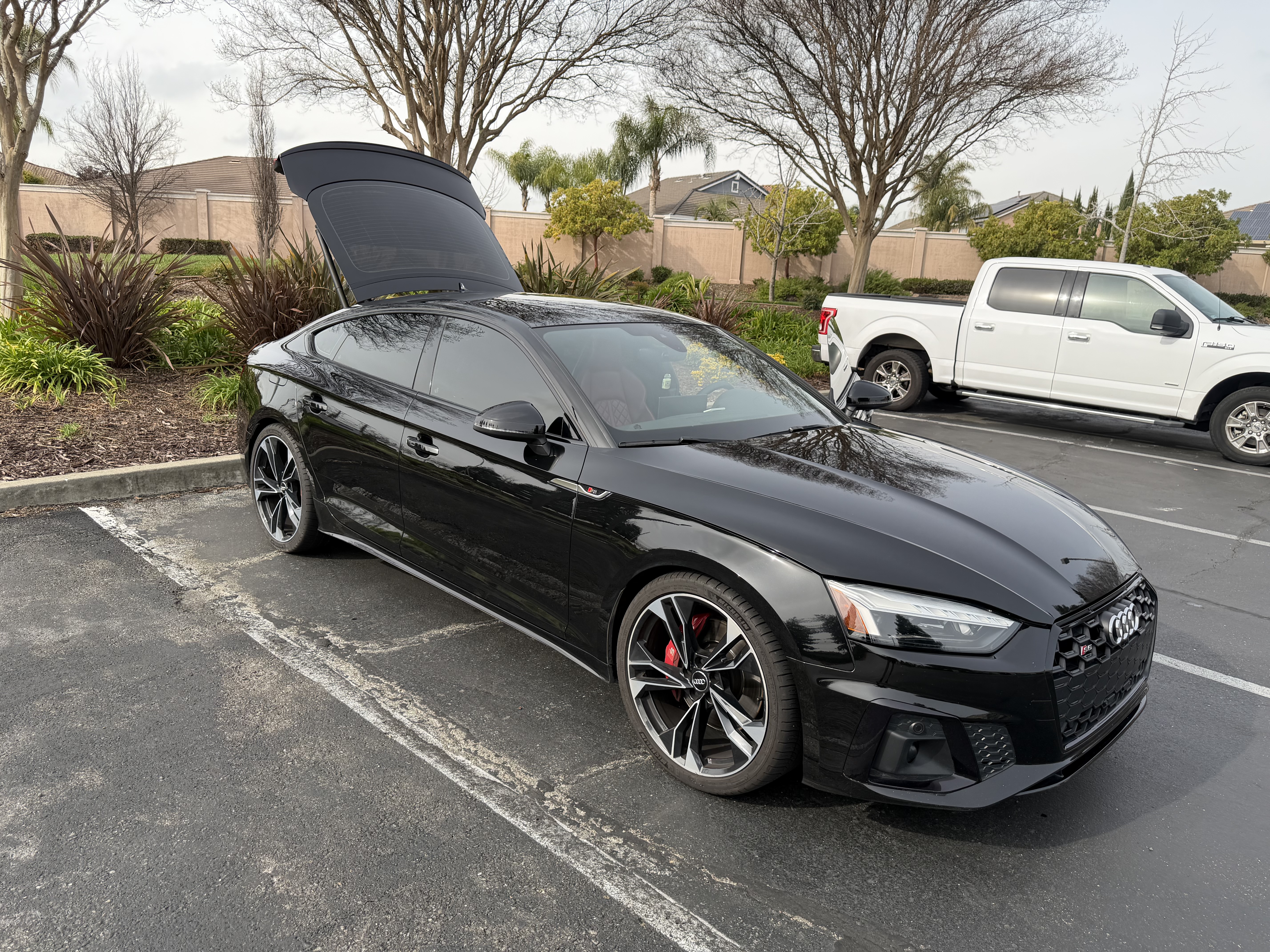 Used 2020 Audi S5 Premium Plus w/ S Sport Package AWD/4WD image 1