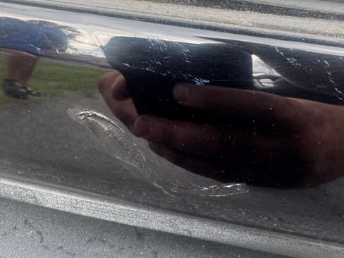 Used 2020 Ford Mustang GT w/ Equipment Group 301A RWD image 13