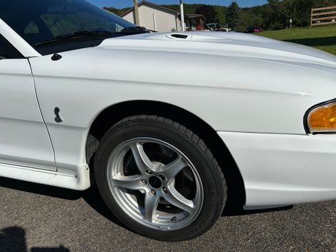 Used 1998 Ford Mustang Cobra RWD image 14