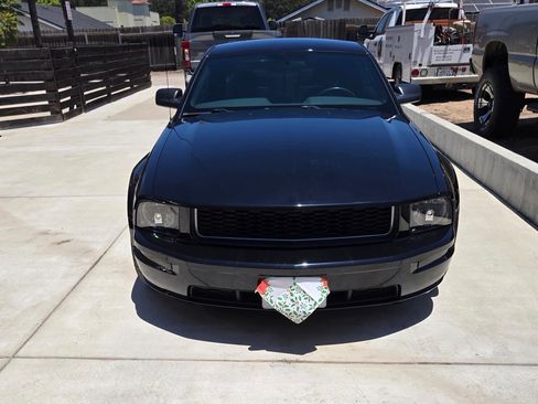 Used 2008 Ford Mustang GT RWD image 1