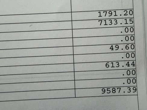 Used 2024 Ford F250 Platinum image 5