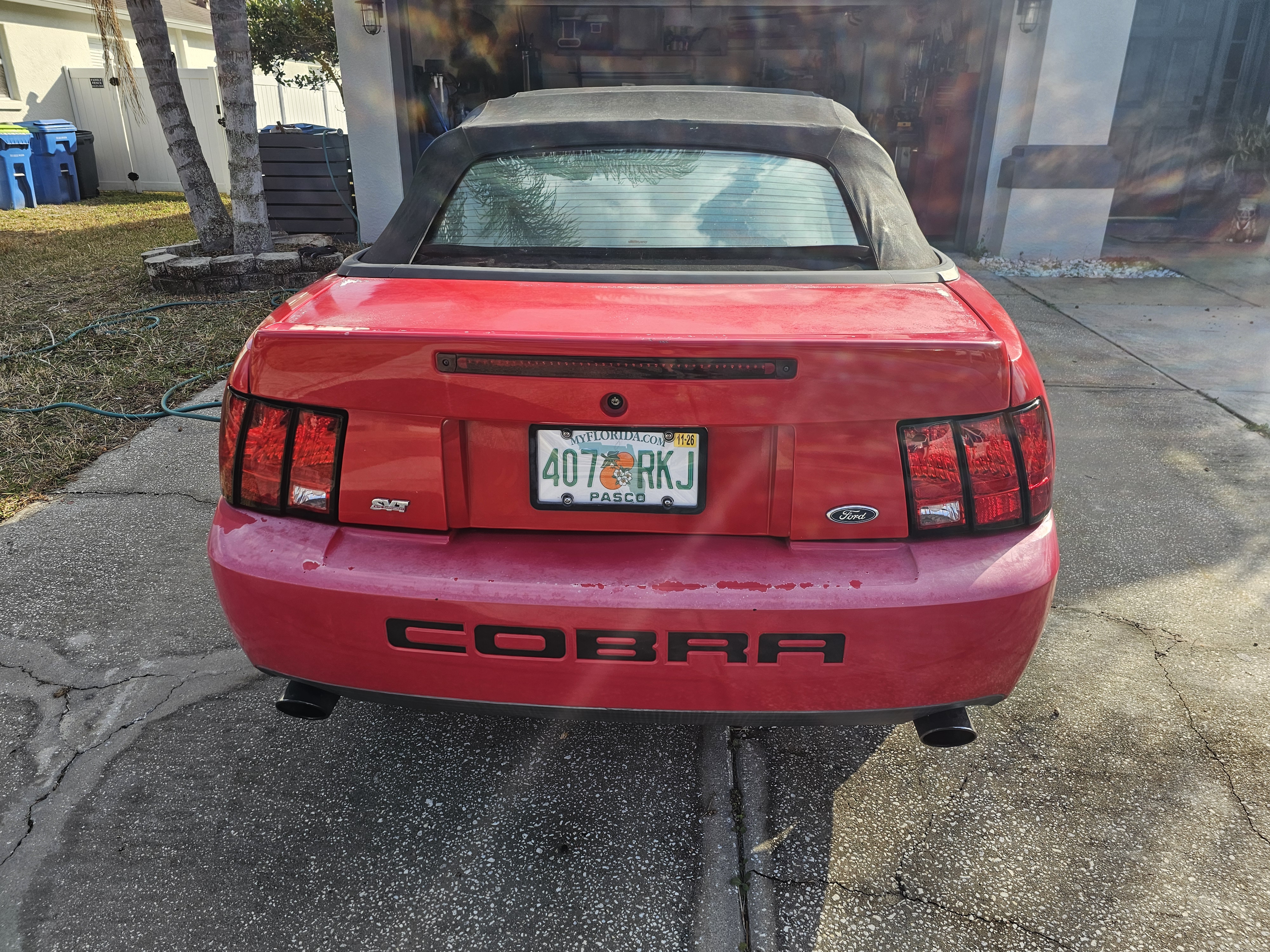 Used 2003 Ford Mustang Cobra RWD image 14