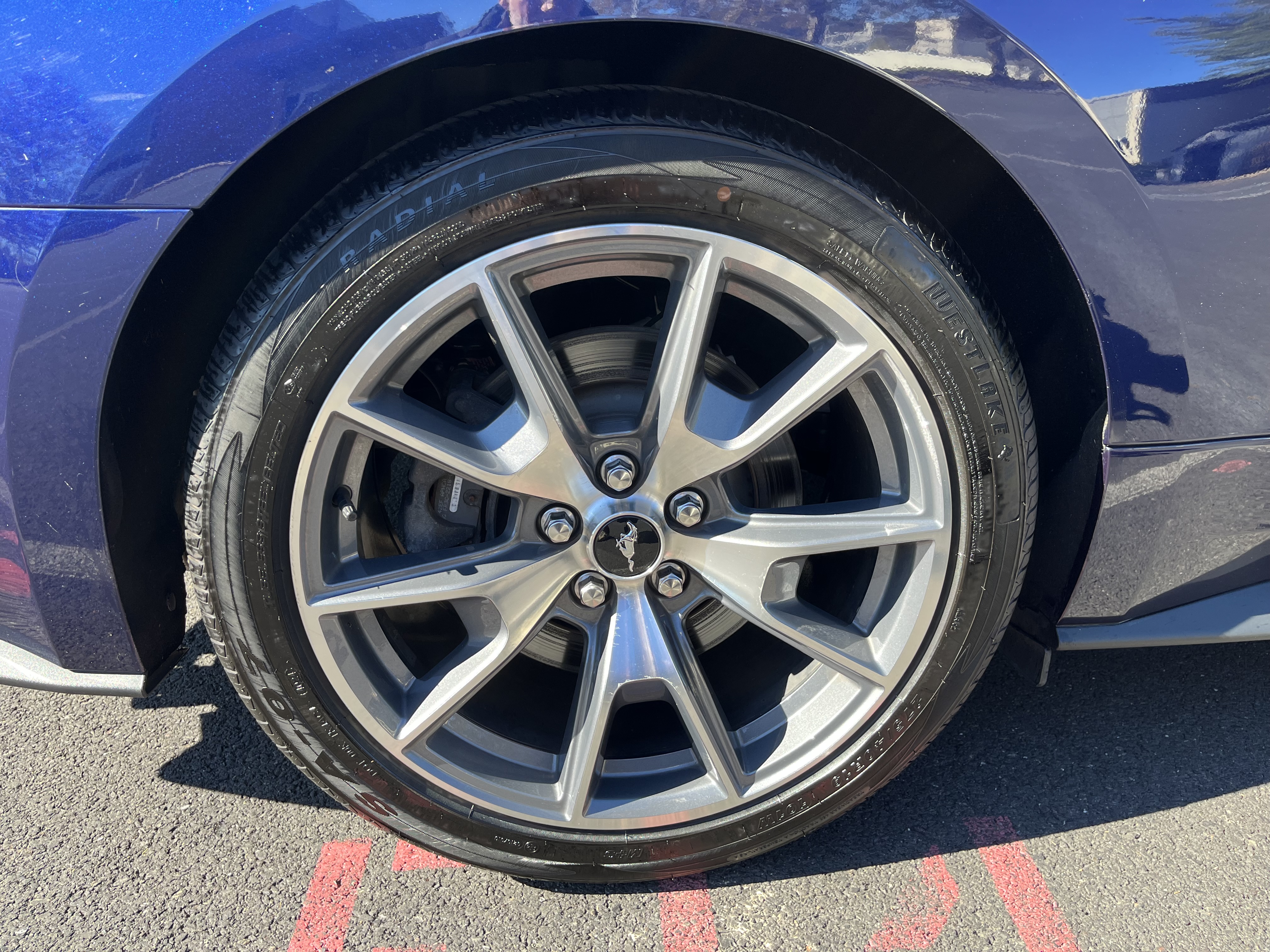 Used 2015 Ford Mustang 50 Years RWD image 16