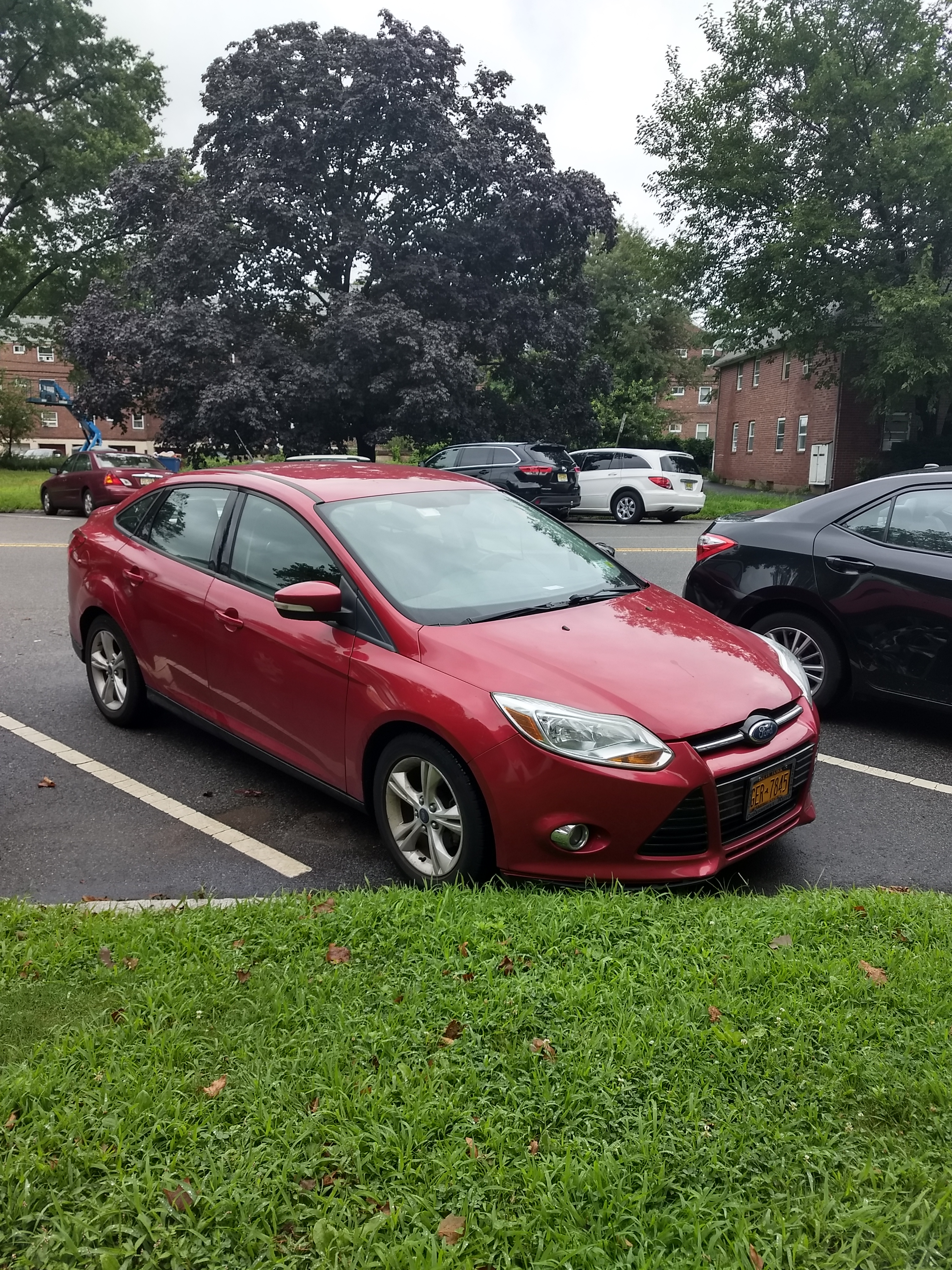 Used 2012 Ford Focus SE w/ SE Sport Pkg FWD image 1