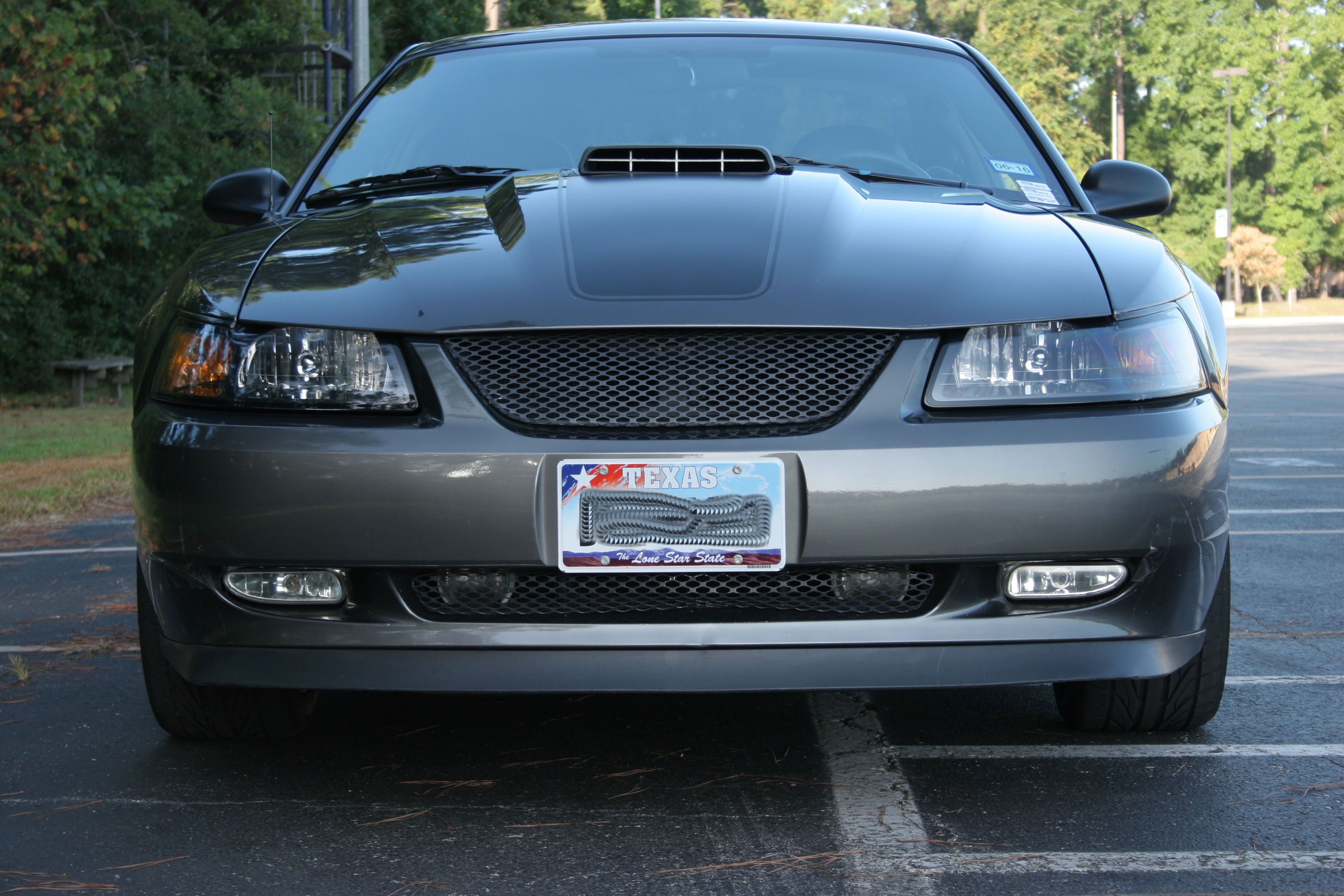 Used 2003 Ford Mustang Mach 1 RWD image 9