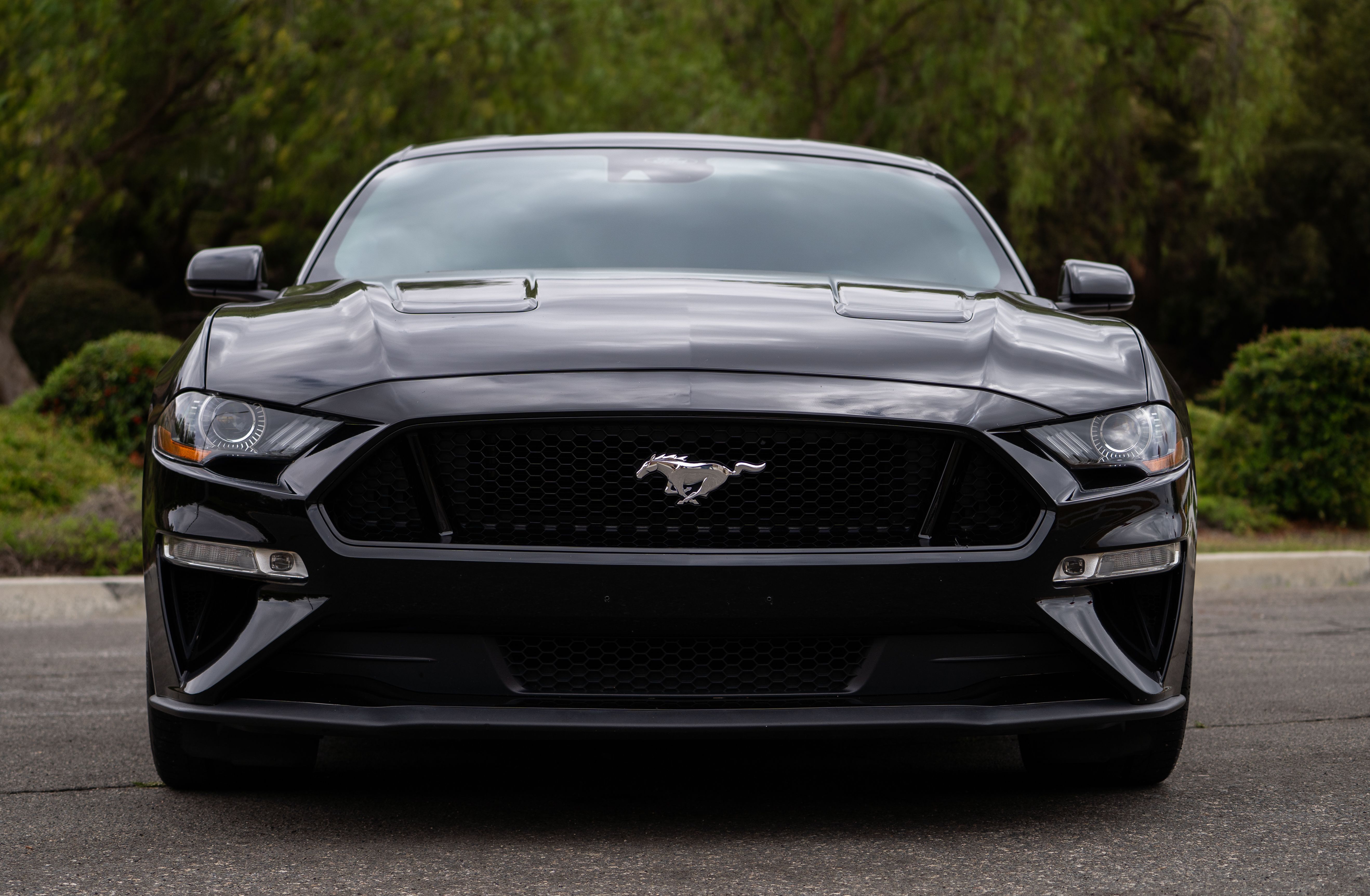 Used 2021 Ford Mustang GT RWD image 8