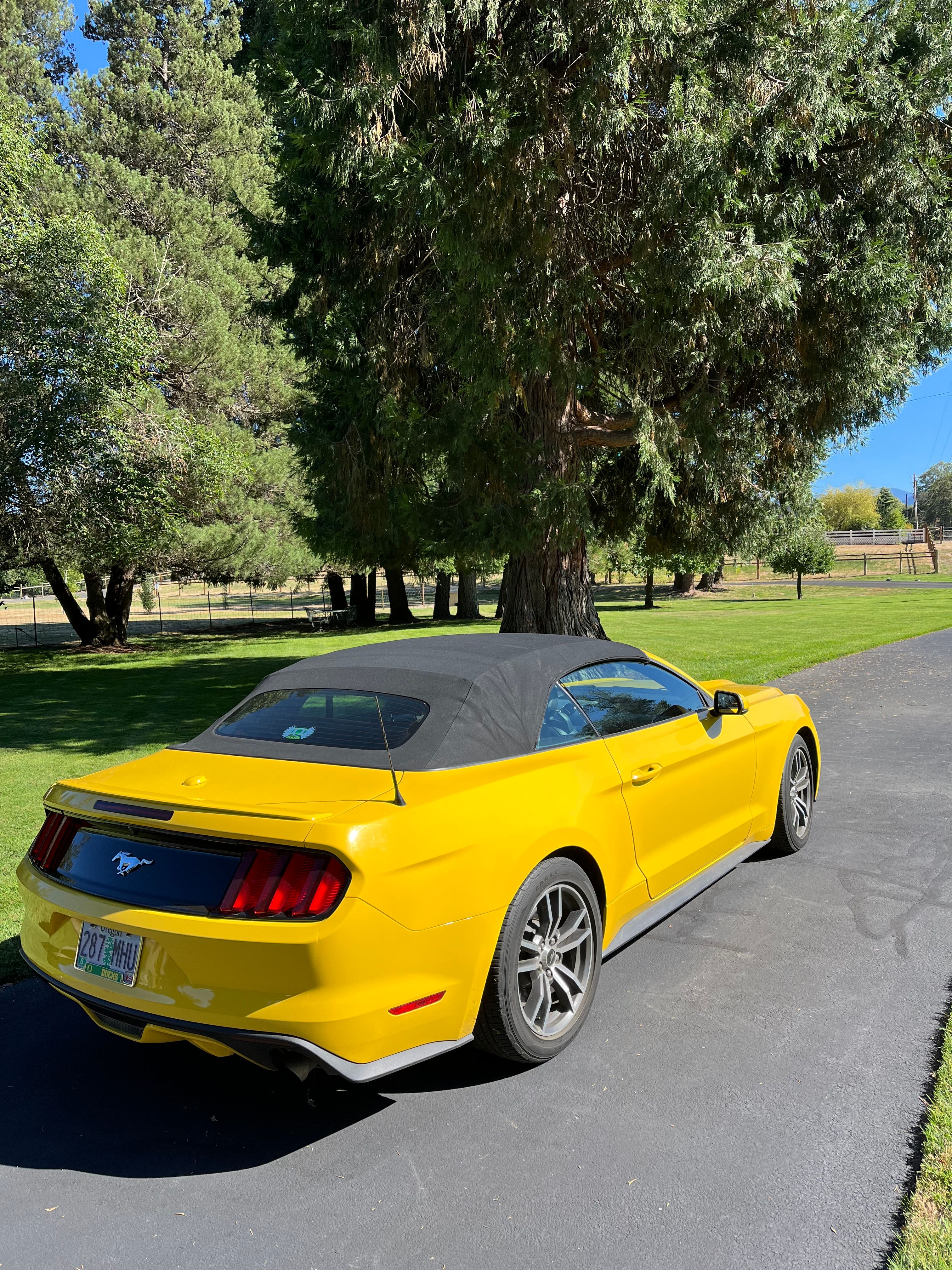 Used 2017 Ford Mustang Premium RWD image 6