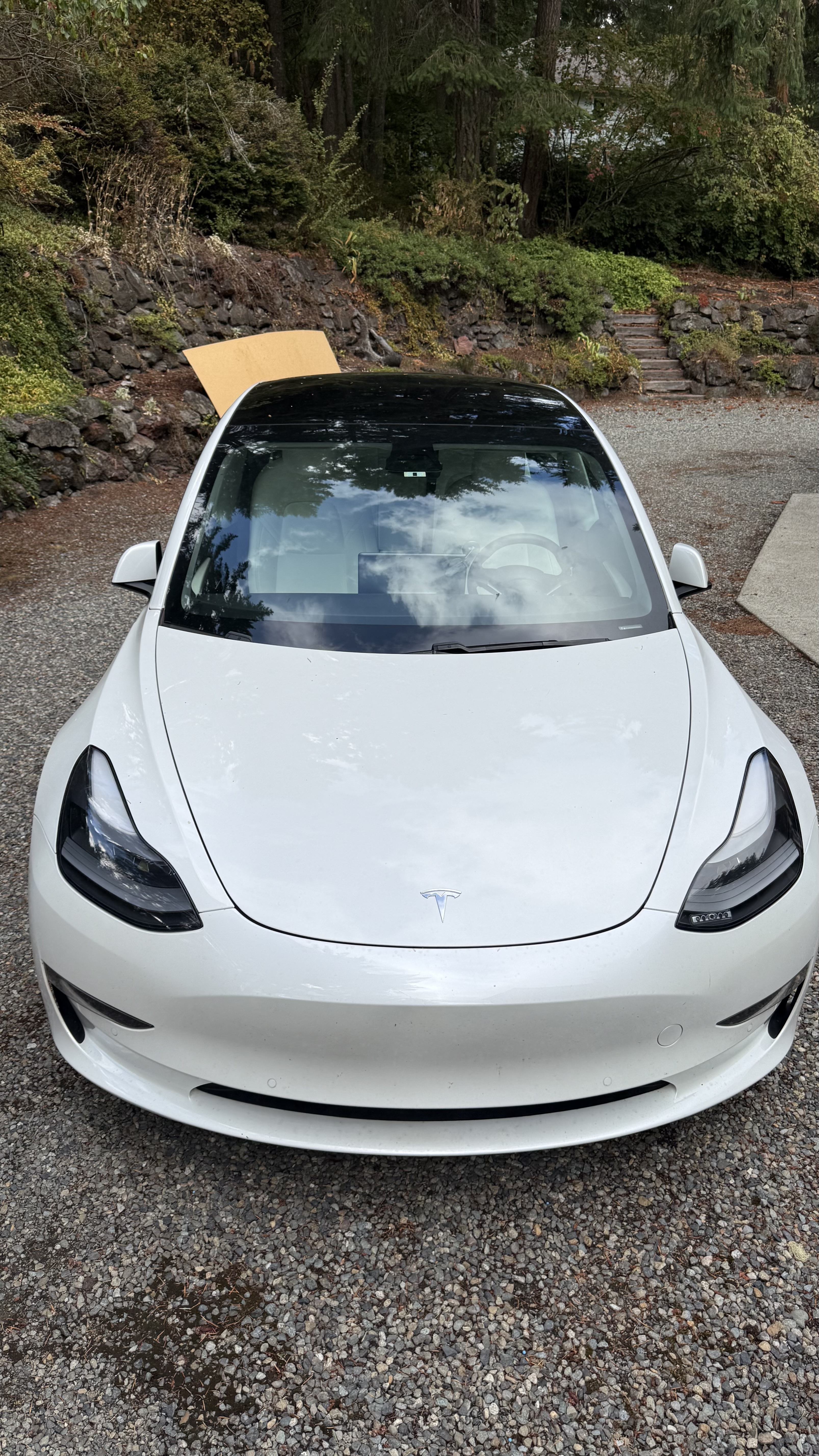 Used 2021 Tesla Model 3 Long Range AWD/4WD image 15