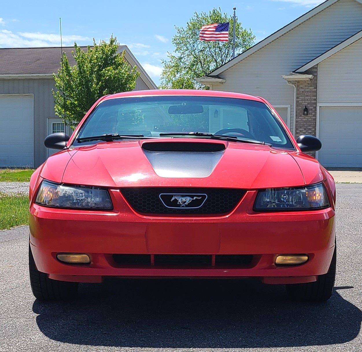 Used 1999 Ford Mustang GT RWD image 5