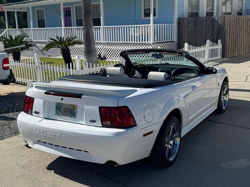 Used 1999 Ford Mustang GT RWD image 14