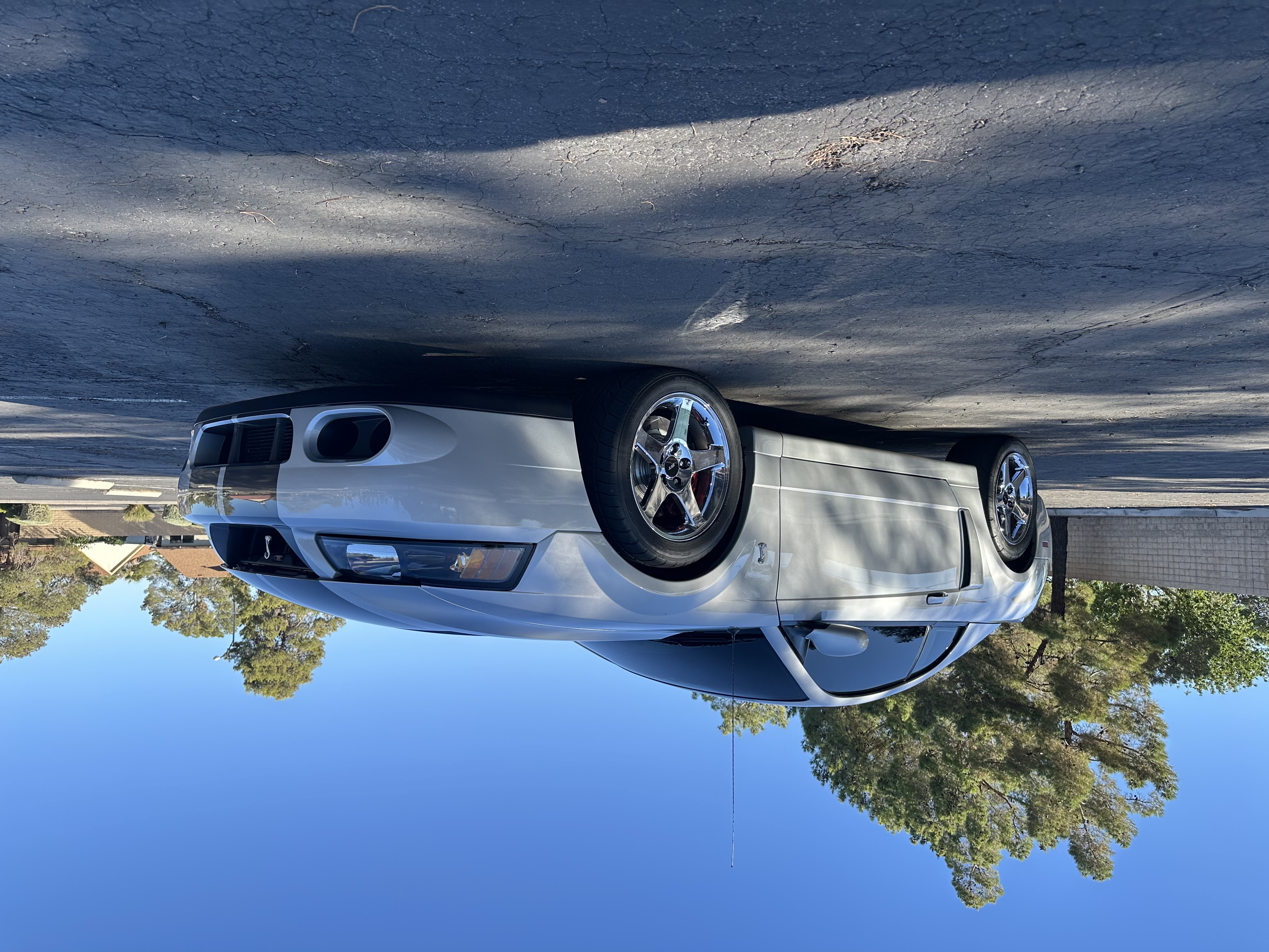Used 2004 Ford Mustang Cobra RWD image 5