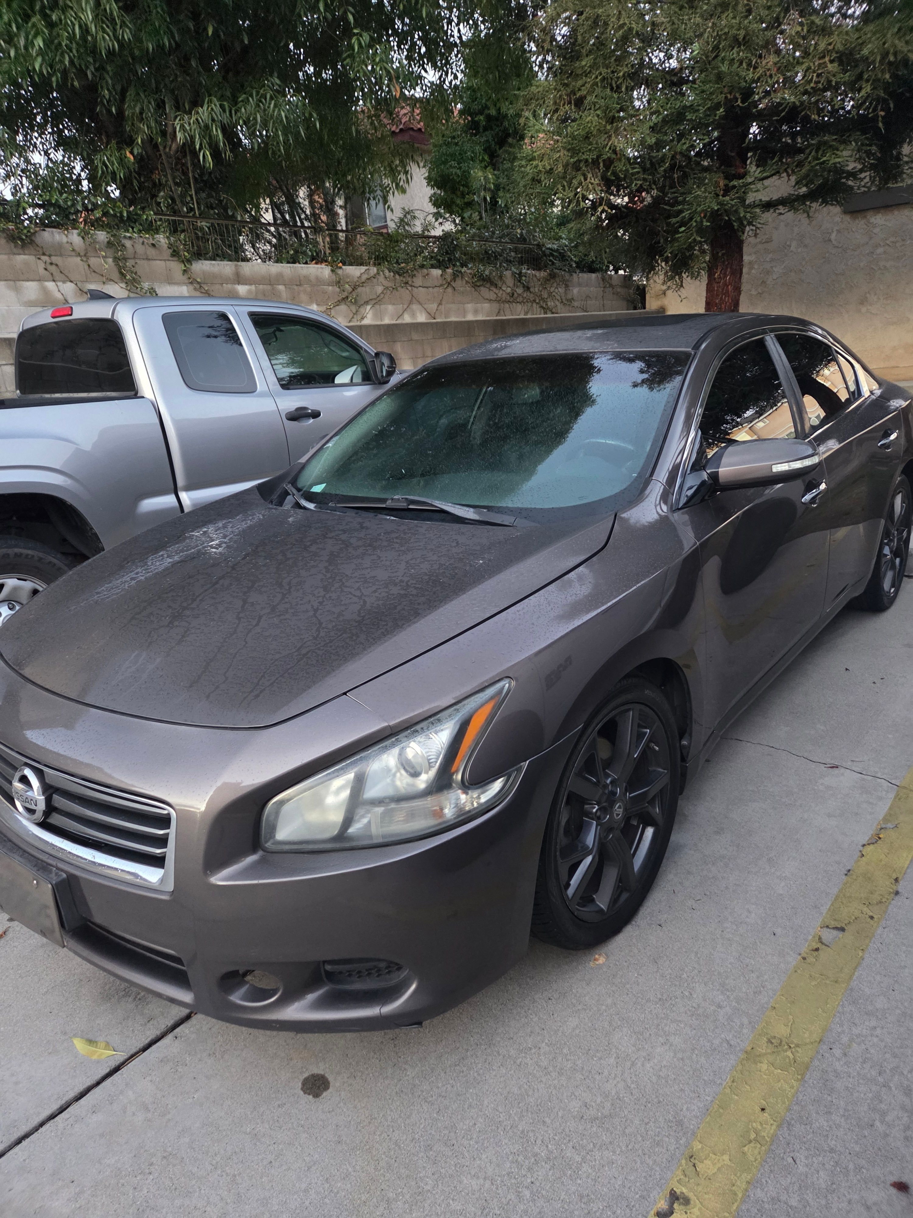 Used 2014 Nissan Maxima 3.5 SV w/ Sport Package FWD image 2
