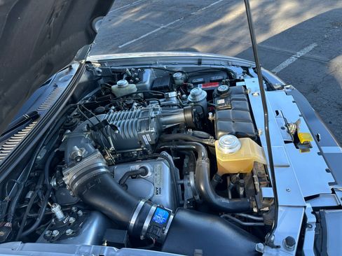 Used 2004 Ford Mustang Cobra RWD image 13