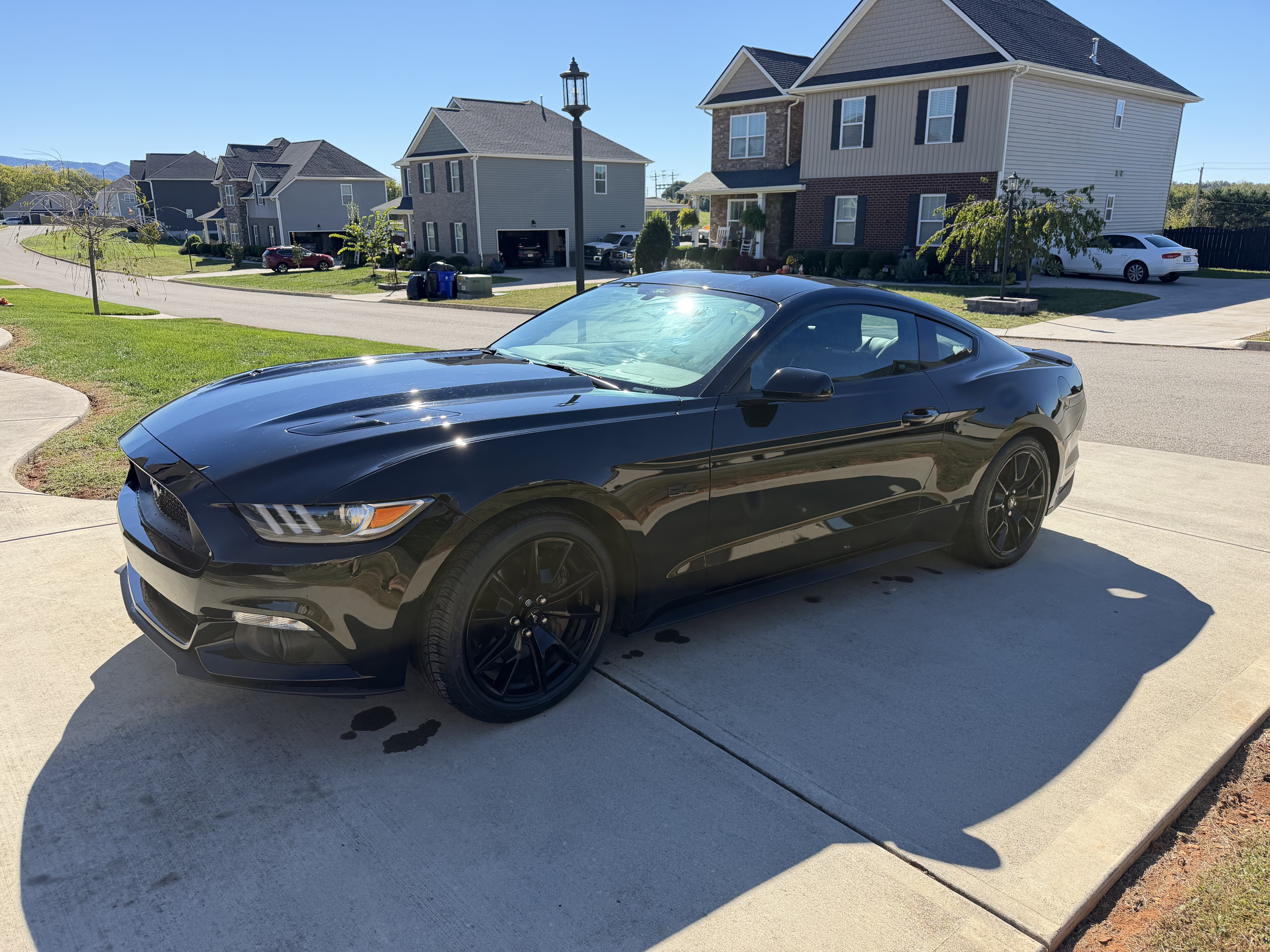 Used 2017 Ford Mustang GT Premium w/ Equipment Group 401A RWD image 9