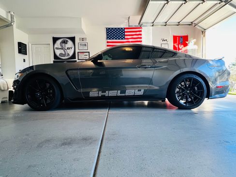 Used 2016 Ford Mustang Shelby GT350 w/ Track Package image 2