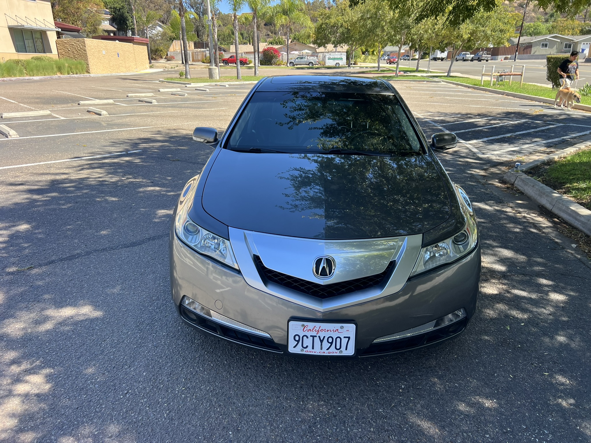 Used 2010 Acura TL w/ Technology Package FWD image 8