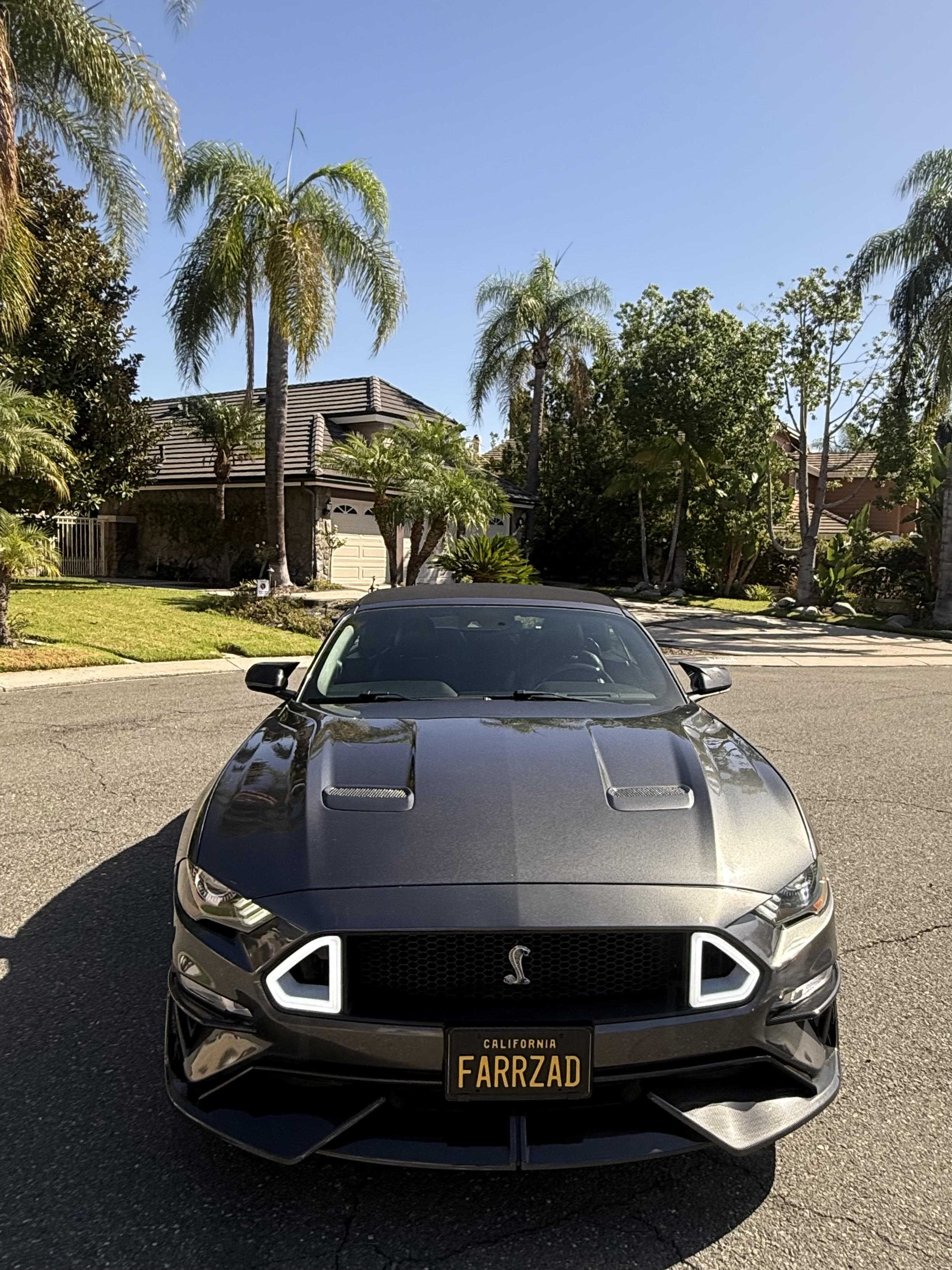 Used 2019 Ford Mustang Premium w/ Equipment Group 201A RWD image 2
