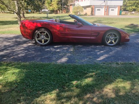 Used 1999 Chevrolet Corvette Convertible w/ Performance Handling Pkg image 1