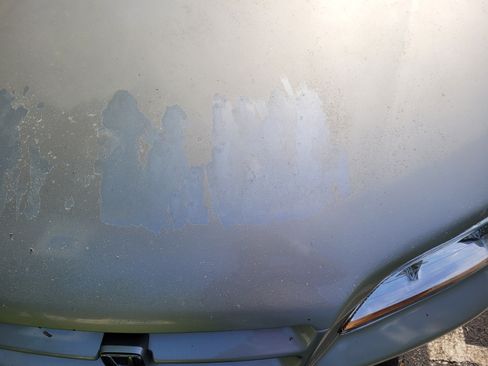 Used 1998 Honda Accord LX image 13