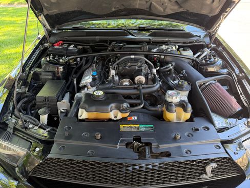 Used 2007 Ford Mustang Shelby GT500 RWD image 6