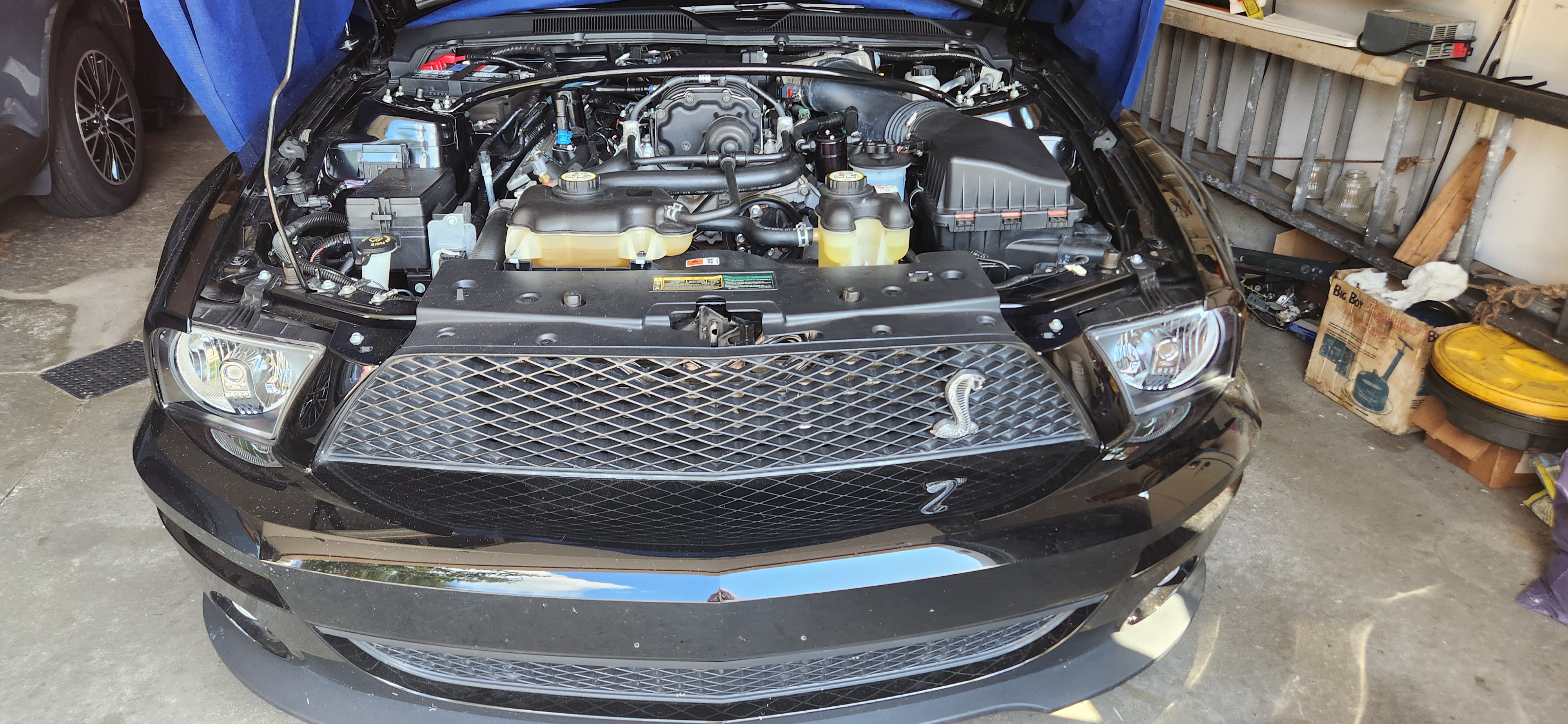 Used 2009 Ford Mustang Shelby GT500 RWD image 1