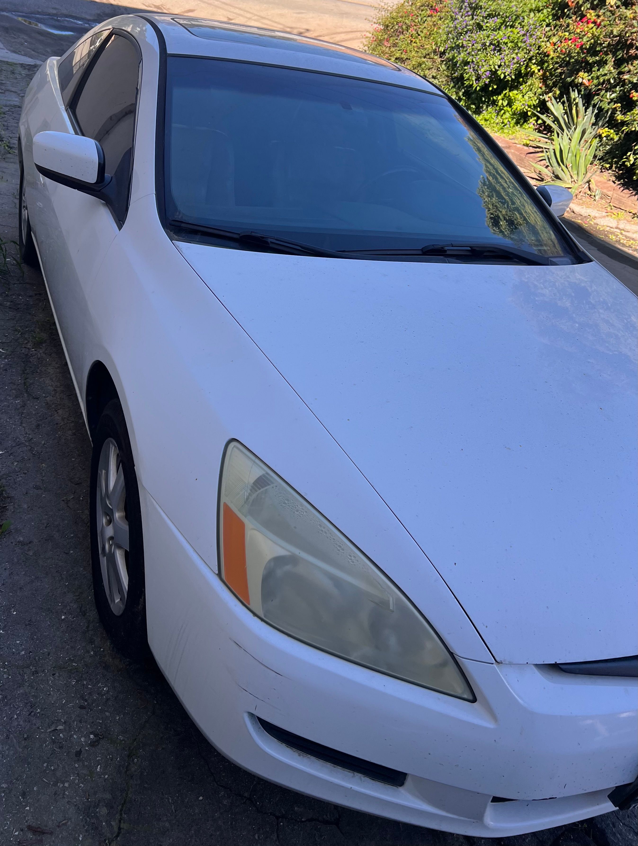 Used 2005 Honda Accord EX-L image 5