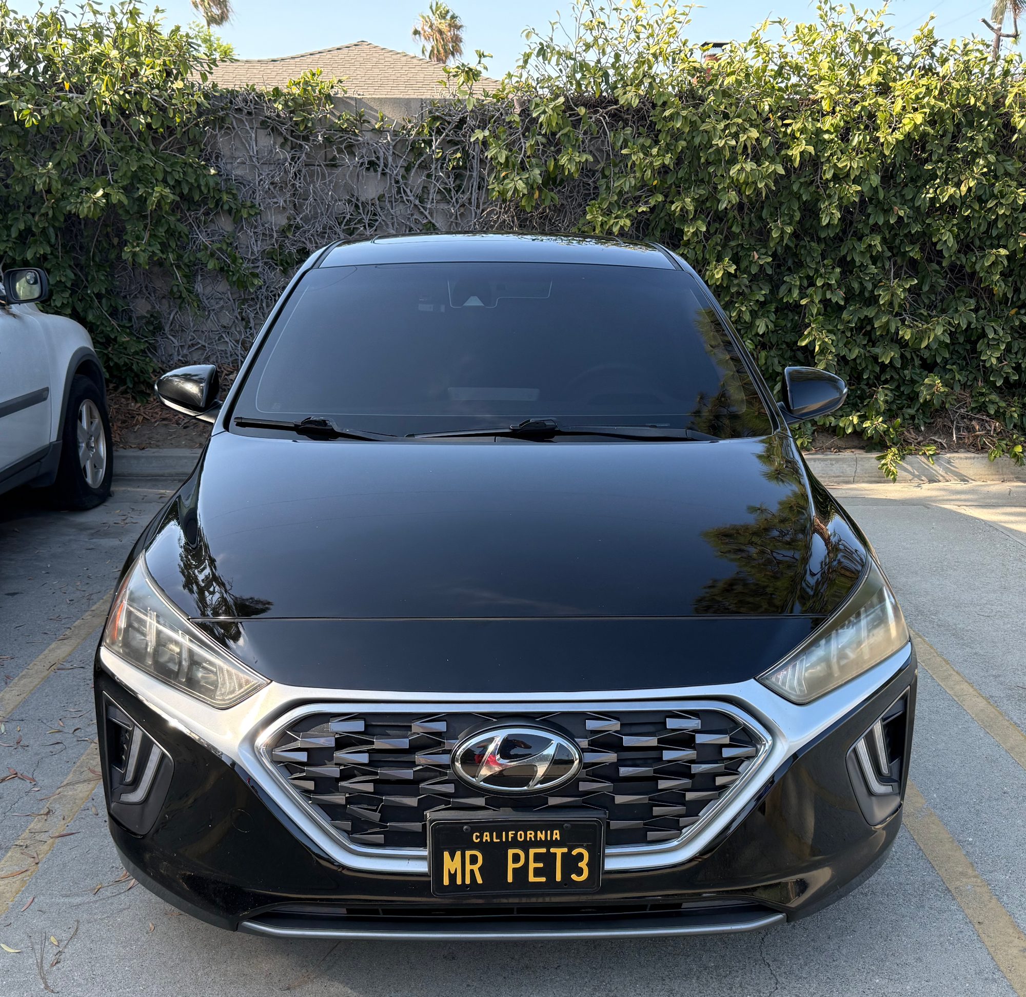 Used 2020 Hyundai Ioniq SEL FWD image 15