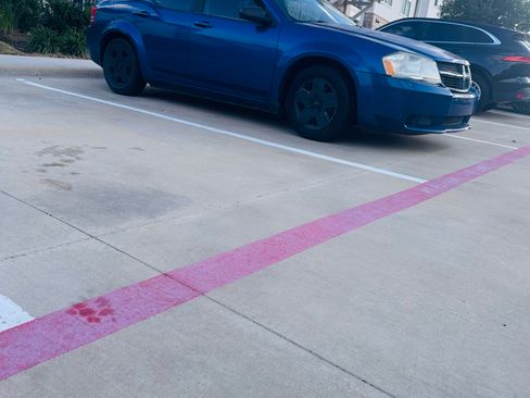 Used 2009 Dodge Avenger SE image 1