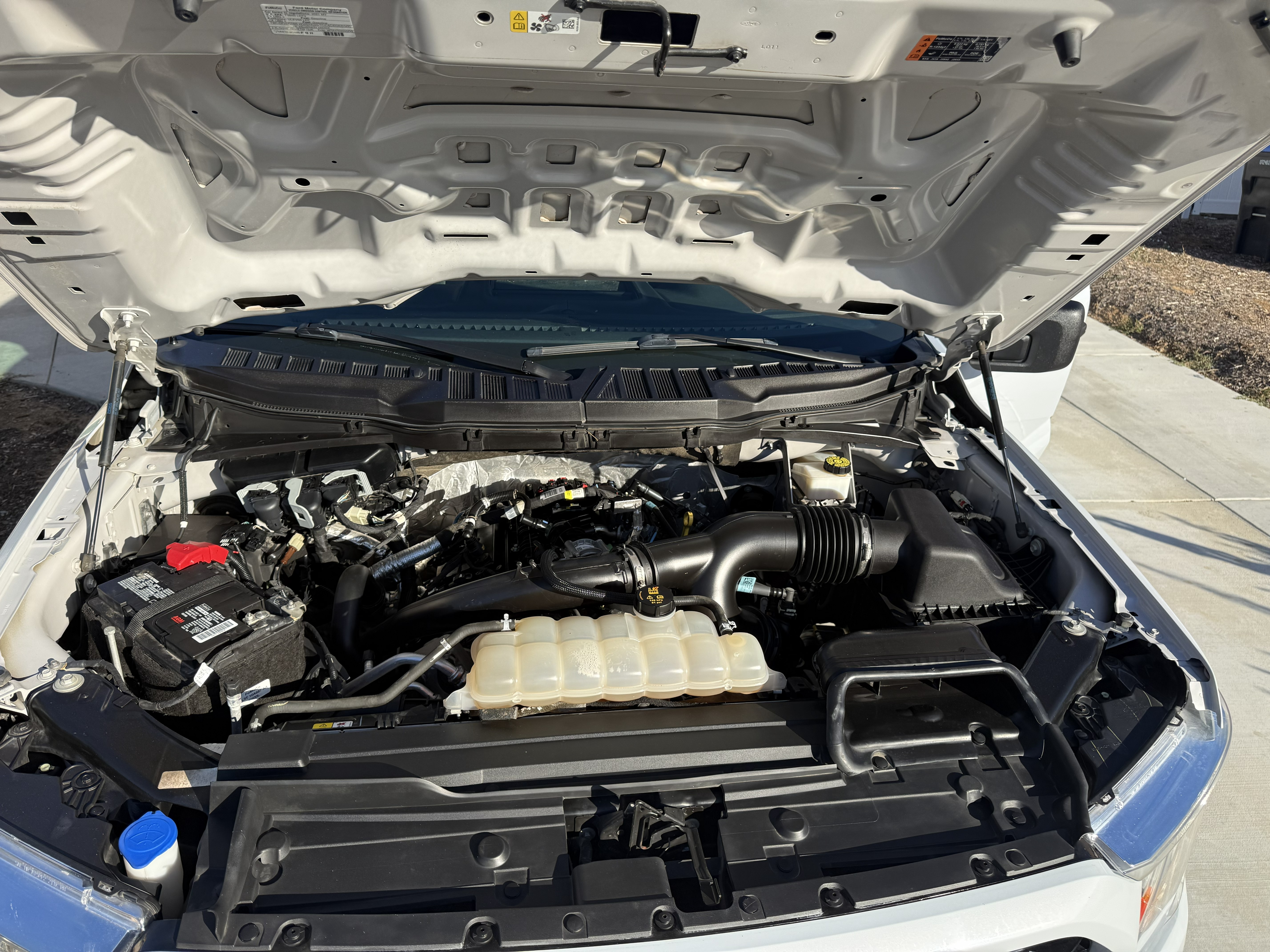 Used 2021 Ford F150 XL w/ STX Appearance Package RWD image 13