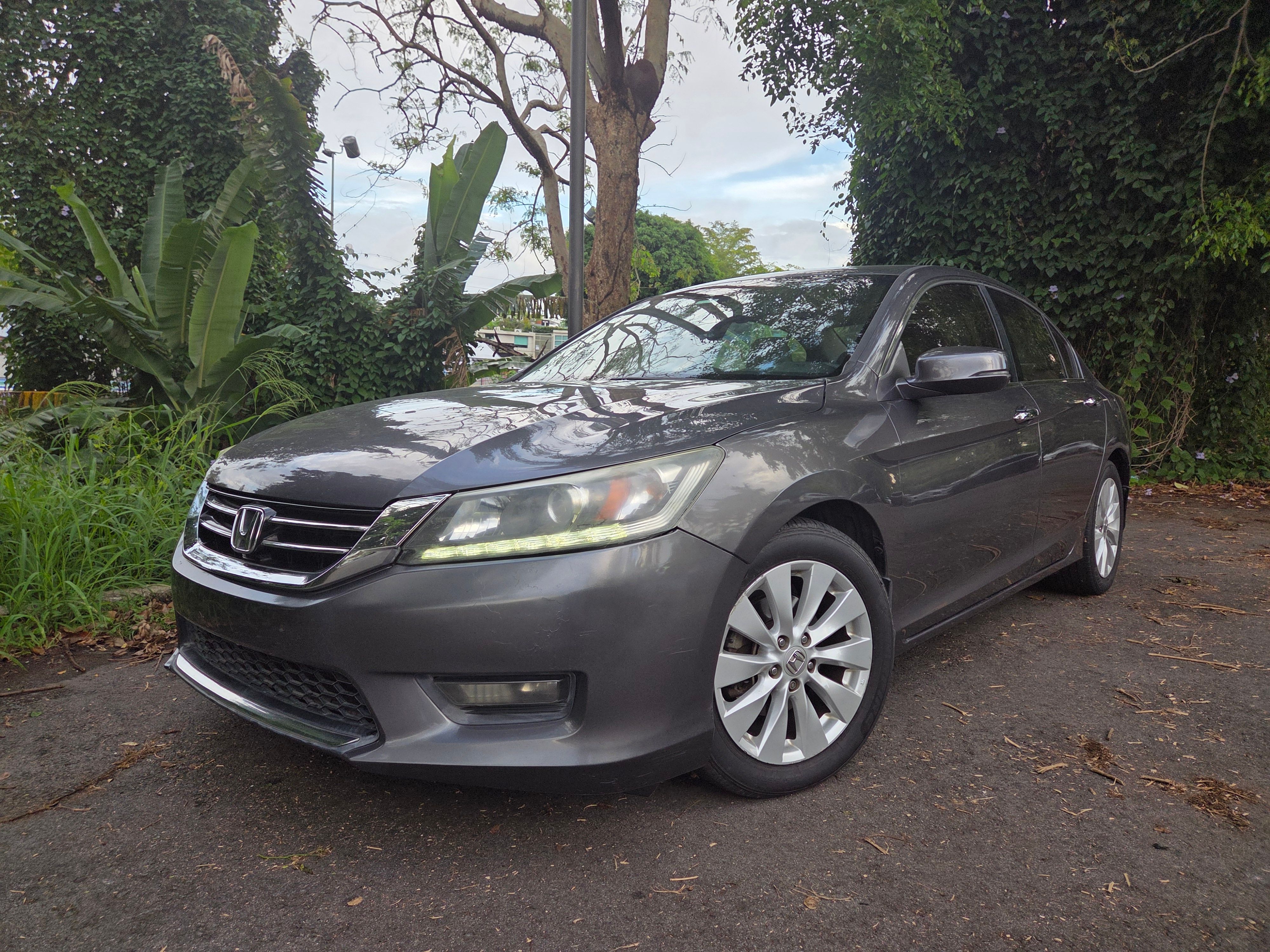 Used 2014 Honda Accord EX-L image 2