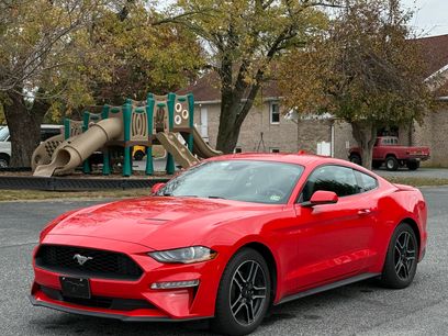Used 2020 Ford Mustang Premium w/ Equipment Group 201A