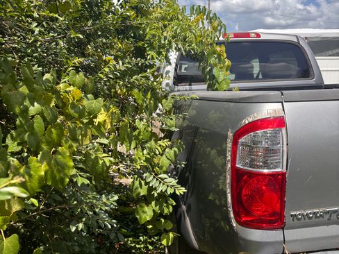 Used 2006 Toyota Tundra SR5 AWD/4WD image 8
