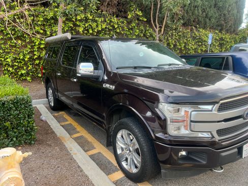 Used 2019 Ford F150 Platinum w/ Equipment Group 701A Luxury image 1